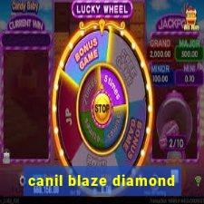 canil blaze diamond